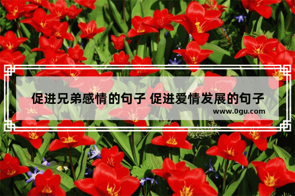 促进兄弟感情的句子 促进爱情发展的句子