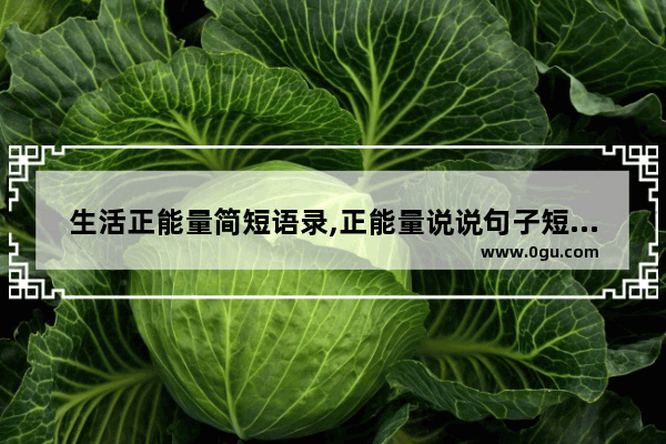 生活正能量简短语录,正能量说说句子短语简短