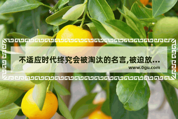 不适应时代终究会被淘汰的名言,被迫放弃梦想的正能量句子