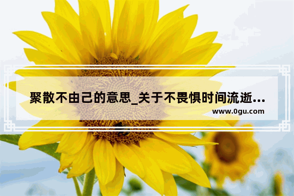 聚散不由己的意思_关于不畏惧时间流逝也要努力的感悟