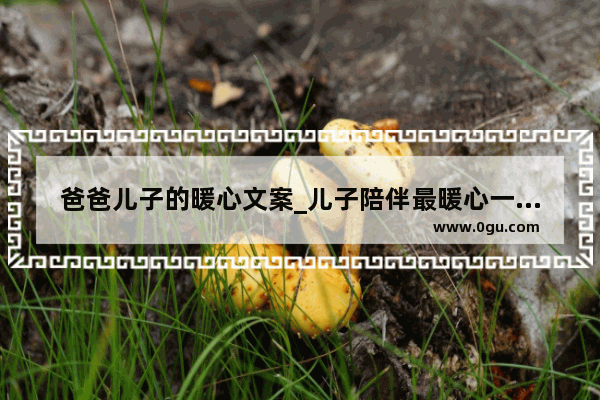 爸爸儿子的暖心文案_儿子陪伴最暖心一段话
