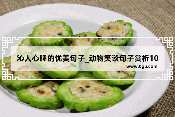 沁人心脾的优美句子_动物笑谈句子赏析10句