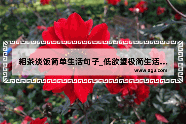 粗茶淡饭简单生活句子_低欲望极简生活唯美句子