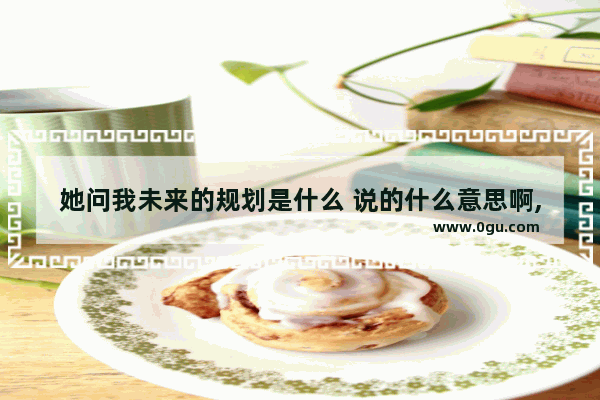 她问我未来的规划是什么 说的什么意思啊,怎么规划自己的人生句子
