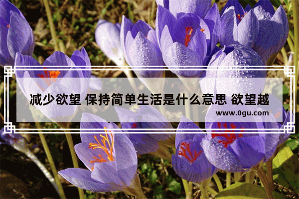 减少欲望 保持简单生活是什么意思 欲望越少人生越幸福的句子