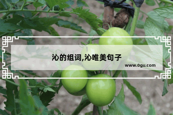 沁的组词,沁唯美句子
