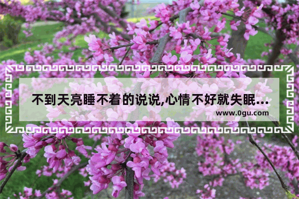 不到天亮睡不着的说说,心情不好就失眠的句子