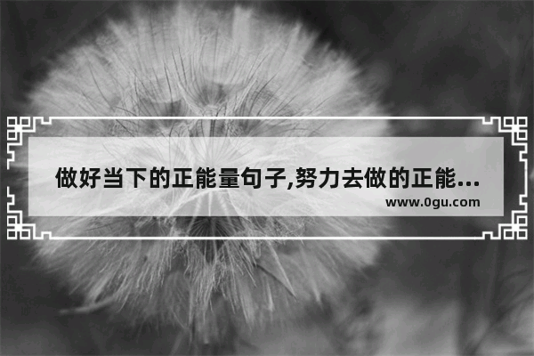 做好当下的正能量句子,努力去做的正能量句子励志