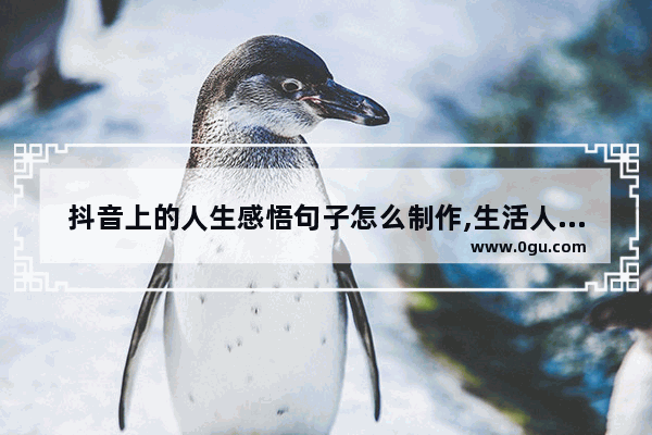 抖音上的人生感悟句子怎么制作,生活人生感悟的句子