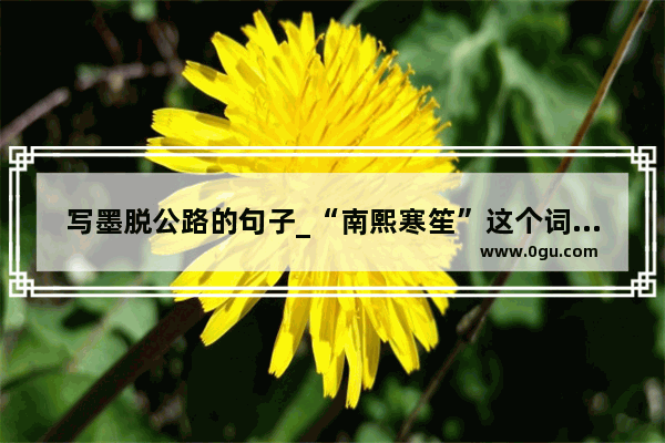 写墨脱公路的句子_“南熙寒笙”这个词语是什么意思