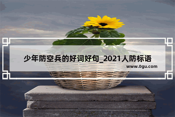 少年防空兵的好词好句_2021人防标语
