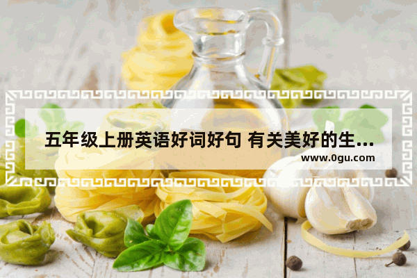 五年级上册英语好词好句 有关美好的生活句子英语