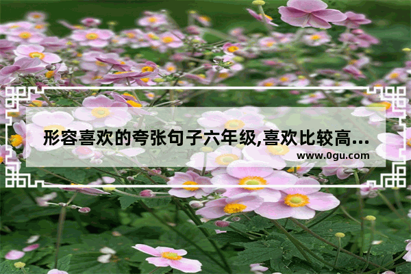 形容喜欢的夸张句子六年级,喜欢比较高级的夸张句子