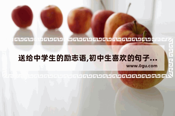 送给中学生的励志语,初中生喜欢的句子励志