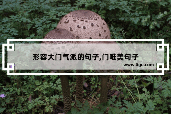 形容大门气派的句子,门唯美句子