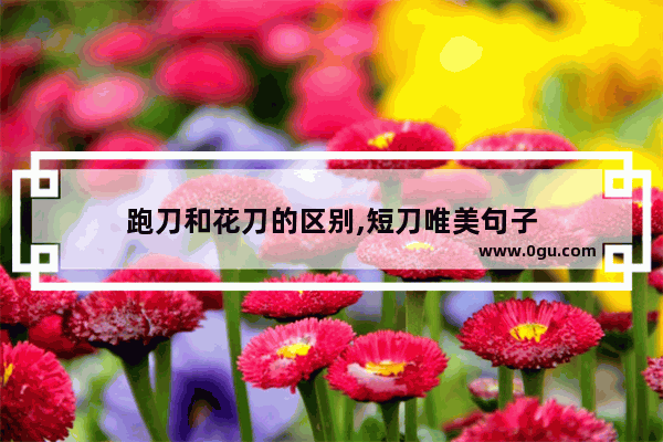 跑刀和花刀的区别,短刀唯美句子