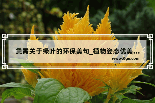 急需关于绿叶的环保美句_植物姿态优美的句子