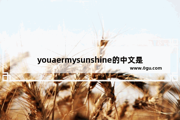 youaermysunshine的中文是什么意思 阳光正能量的句子双语简短