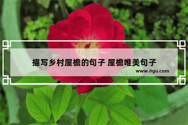 描写乡村屋檐的句子 屋檐唯美句子
