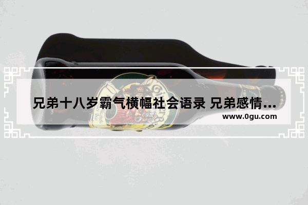 兄弟十八岁霸气横幅社会语录 兄弟感情励志的句子霸气的