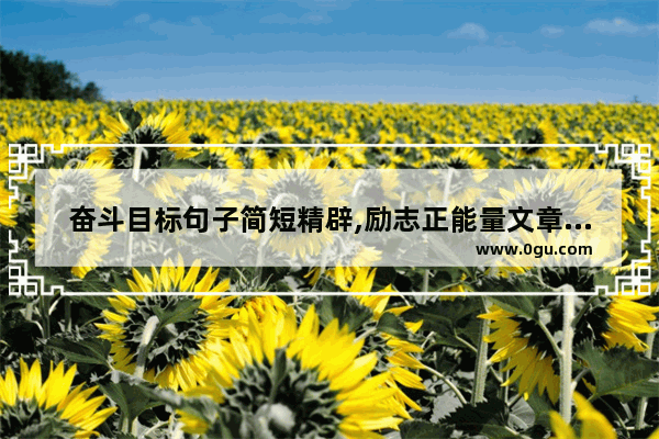 奋斗目标句子简短精辟,励志正能量文章奋斗的句子