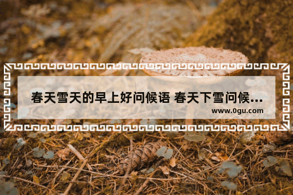 春天雪天的早上好问候语 春天下雪问候暖心的句子