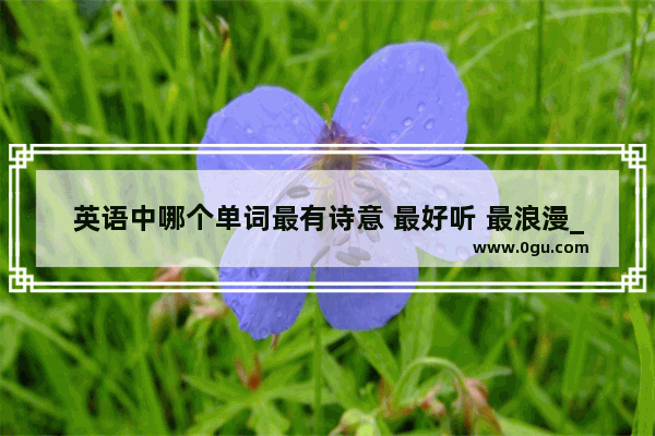 英语中哪个单词最有诗意 最好听 最浪漫_求关于月亮和相思的浪漫唯美诗词佳句