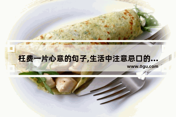 枉费一片心意的句子,生活中注意忌口的句子