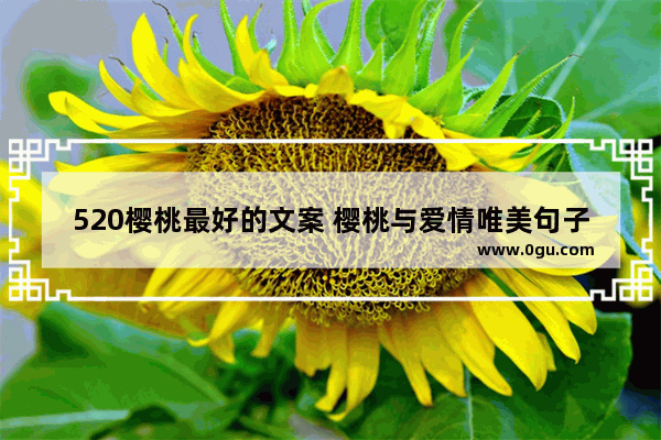 520樱桃最好的文案 樱桃与爱情唯美句子