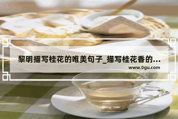 黎明描写桂花的唯美句子_描写桂花香的优美句子