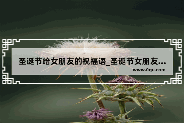 圣诞节给女朋友的祝福语_圣诞节女朋友祝福语