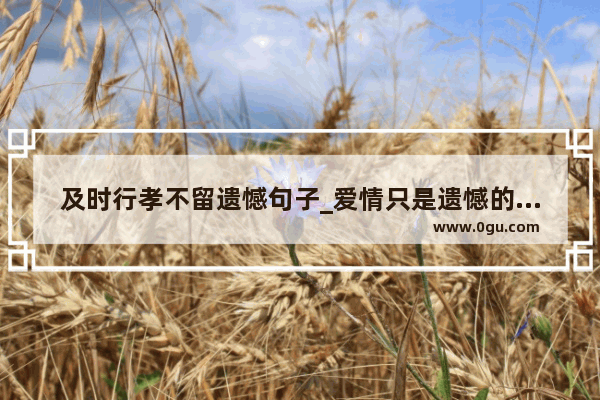 及时行孝不留遗憾句子_爱情只是遗憾的句子