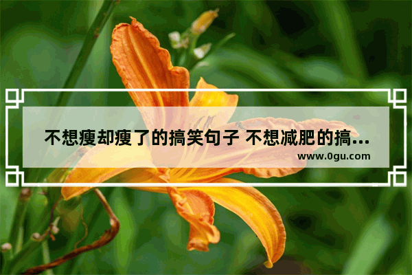 不想瘦却瘦了的搞笑句子 不想减肥的搞笑句子