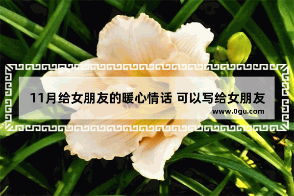 11月给女朋友的暖心情话 可以写给女朋友的暖心句子