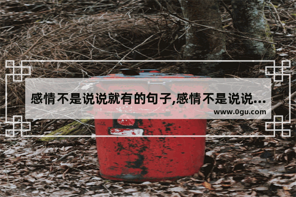 感情不是说说就有的句子,感情不是说说就有的句子