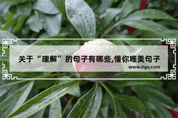 关于“理解”的句子有哪些,懂你唯美句子