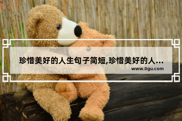 珍惜美好的人生句子简短,珍惜美好的人生句子简短