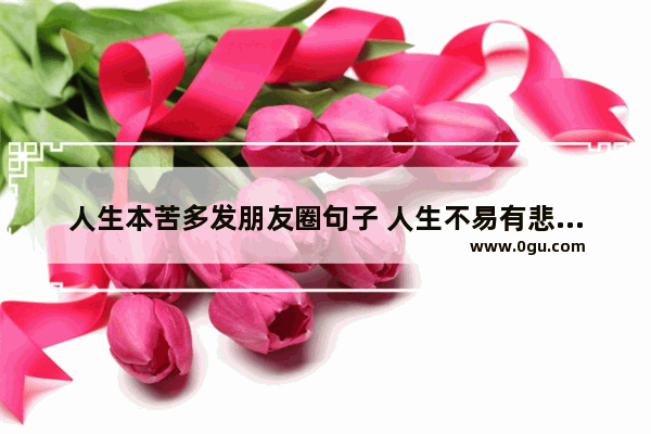 人生本苦多发朋友圈句子 人生不易有悲有喜句子