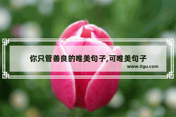 你只管善良的唯美句子,可唯美句子