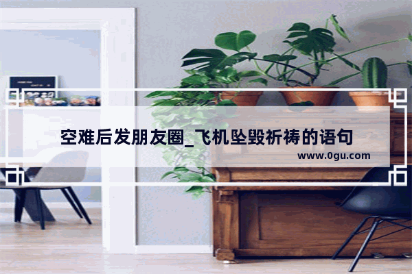 空难后发朋友圈_飞机坠毁祈祷的语句