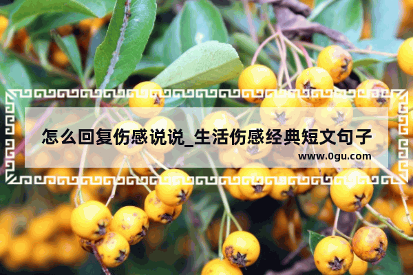 怎么回复伤感说说_生活伤感经典短文句子