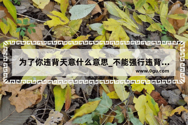 为了你违背天意什么意思_不能强行违背天意的诗句