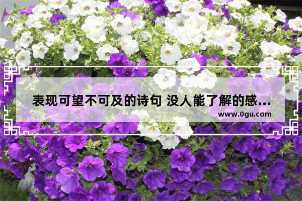 表现可望不可及的诗句 没人能了解的感情句子短句