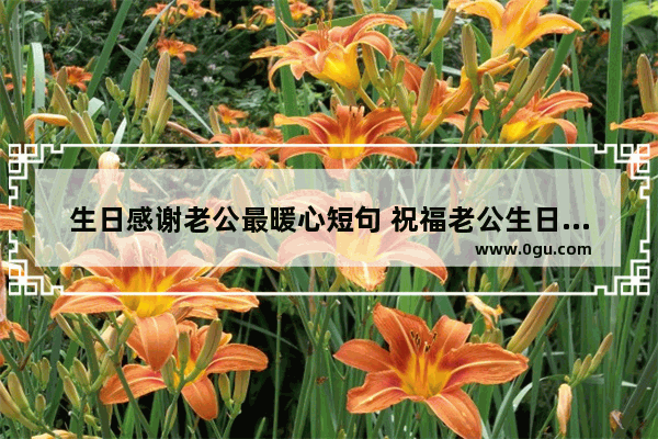 生日感谢老公最暖心短句 祝福老公生日暖心句子卡通