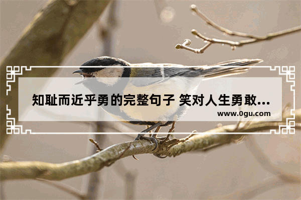 知耻而近乎勇的完整句子 笑对人生勇敢的句子说说
