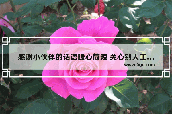 感谢小伙伴的话语暖心简短 关心别人工作的暖心句子