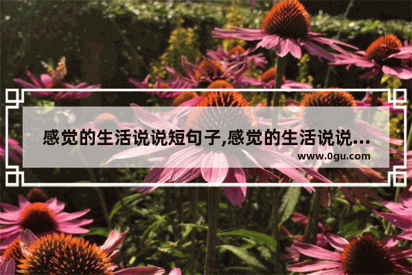 感觉的生活说说短句子,感觉的生活说说短句子