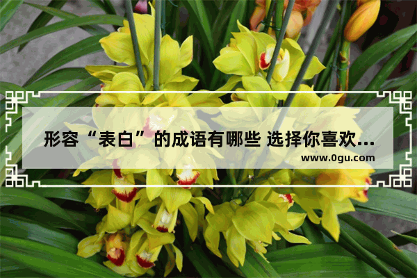形容“表白”的成语有哪些 选择你喜欢的人的句子成语