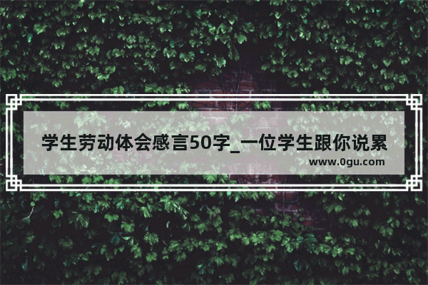 学生劳动体会感言50字_一位学生跟你说累了 怎么回复