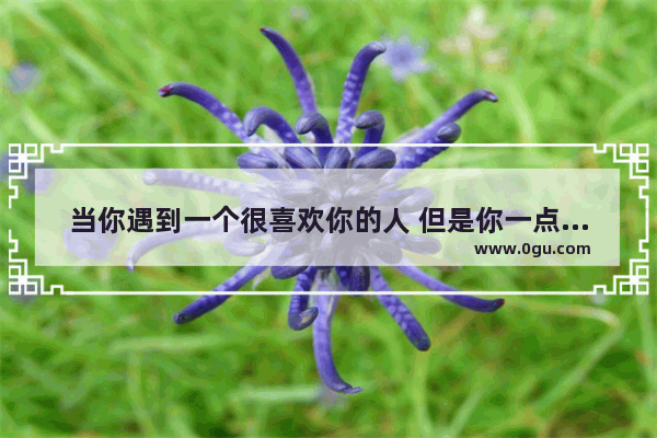 当你遇到一个很喜欢你的人 但是你一点也不喜欢他 怎么办,句子遇见爱情短句